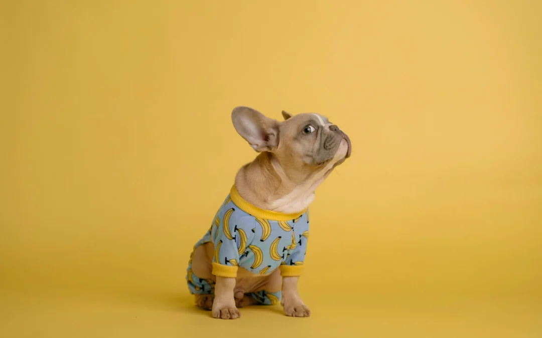 What Your Dog’s Side Eye Is *Really* Saying