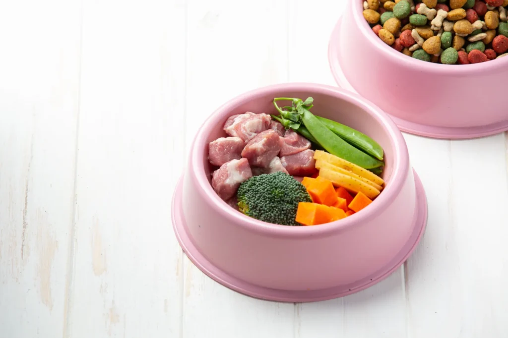 Bowl of fresh ingredients used in hypoallergenic dog food, including raw protein, vegetables, and simple carbohydrates arranged in a pink dog bowl