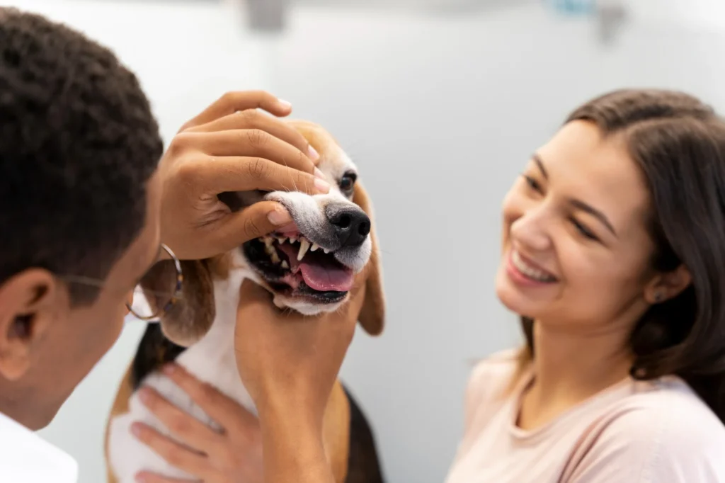Dog teeth cleaning wipes being used to gently clean a dog’s teeth as part of a calm oral care routine
