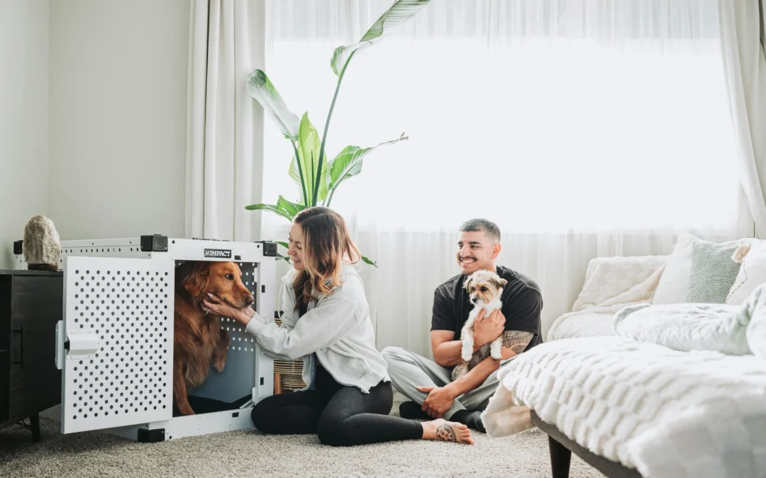 How to Crate Train an Adult Dog Without Stress