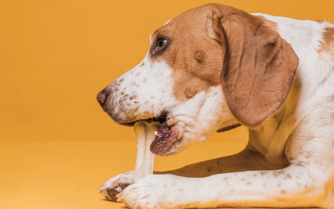 Top Dental Chews for Dogs Who Hate Brushing