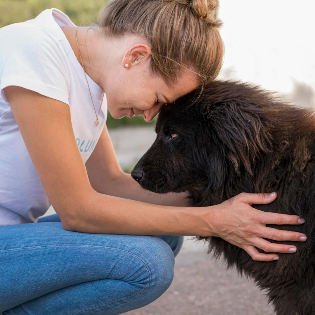 Rehoming a dog involves emotional care and reassurance as a dog adjusts during the transition process
