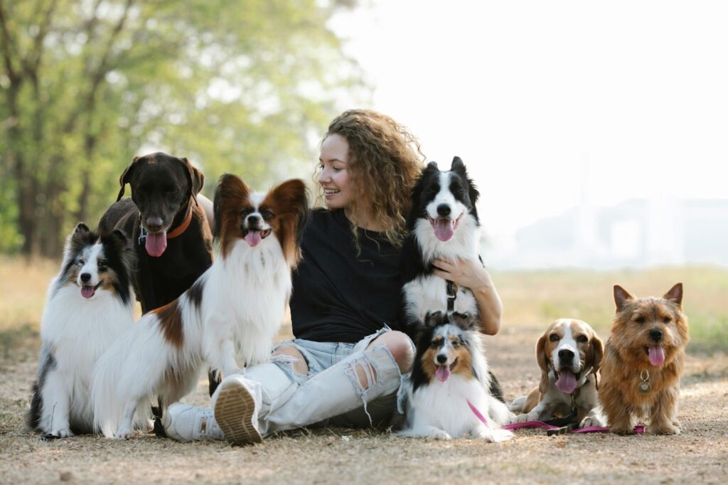 Picture of a woman sitting on the ground outdoors surrounded by six different dogs of various breeds and sizes.