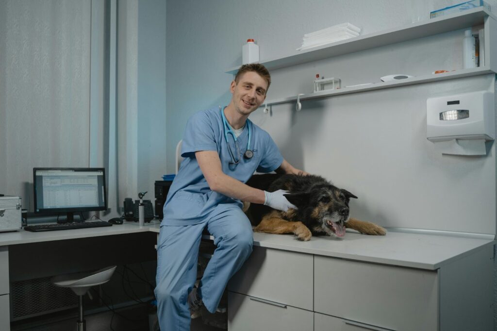  Picture of a male veterinarian in blue scrubs sitting on an exam table next to a black and tan dog.