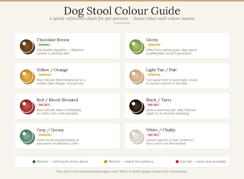 Picture of a dog stool colour guide showing yellow, green, black/tarry, and bright red blood indicators with small context icons.