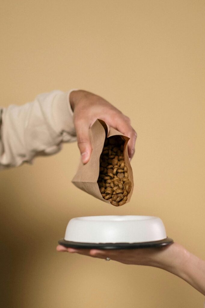 Picture of a person pouring brown kibble from a clear glass jar into a white and silver dog bowl
