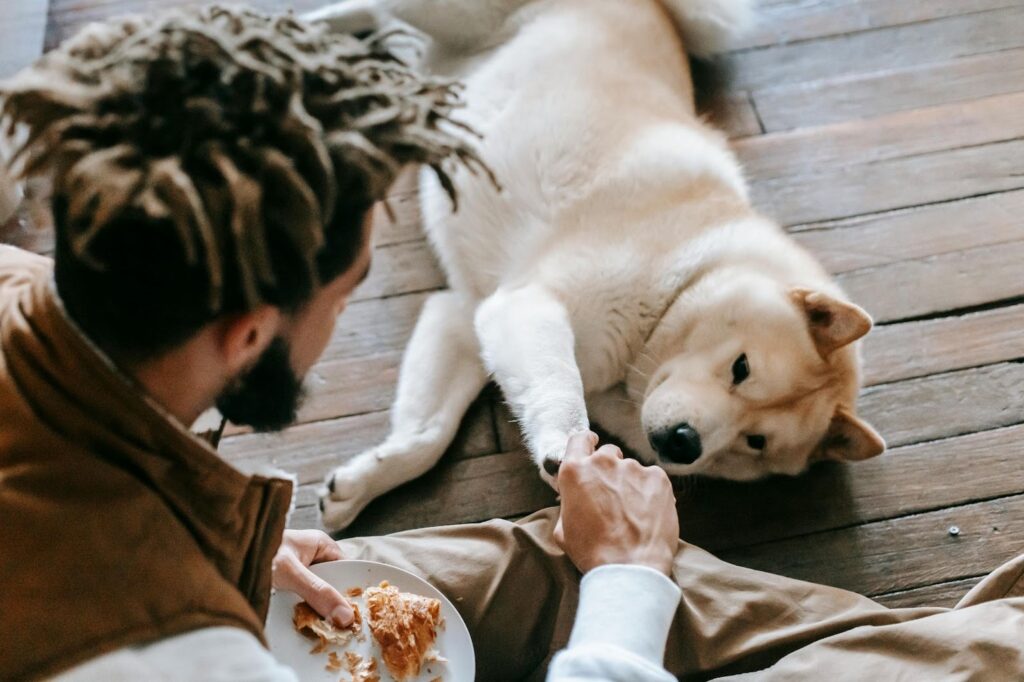 Picture of a person with dreadlocks sitting on the floor and holding the paw of a large white dog