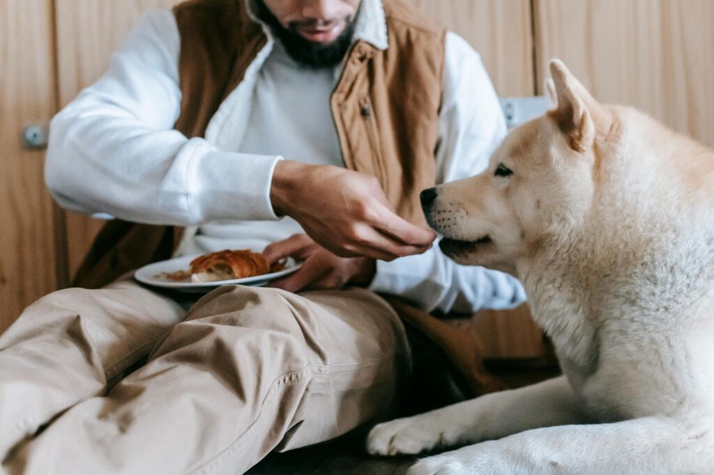 Picture of a man sitting on the floor and hand-feeding a treat to a large white dog.