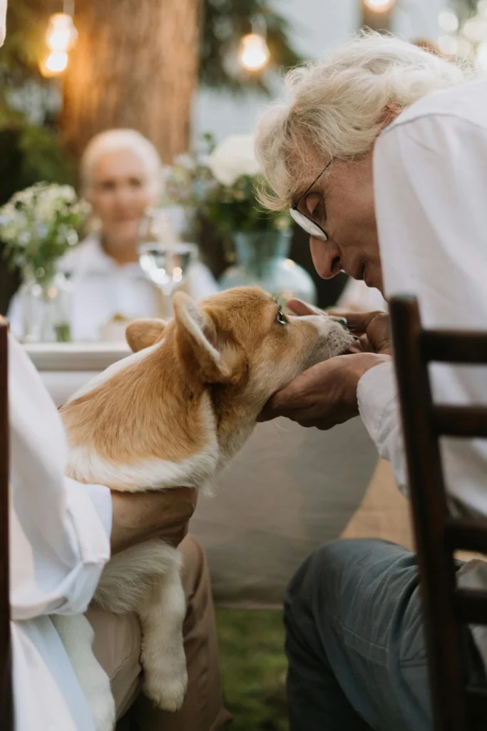 Picture of a silver metal dog bowl filled to the brim with small, tan, bone-shaped kibble