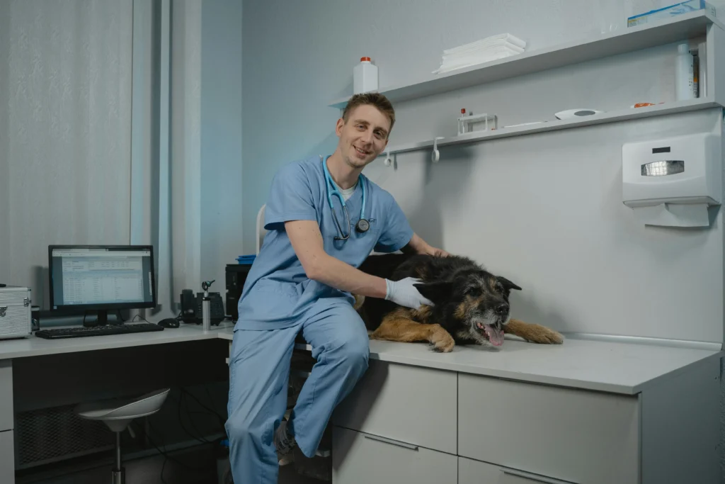 Picture of a smiling male veterinarian in blue scrubs sitting on an exam table next to a large black and tan dog.