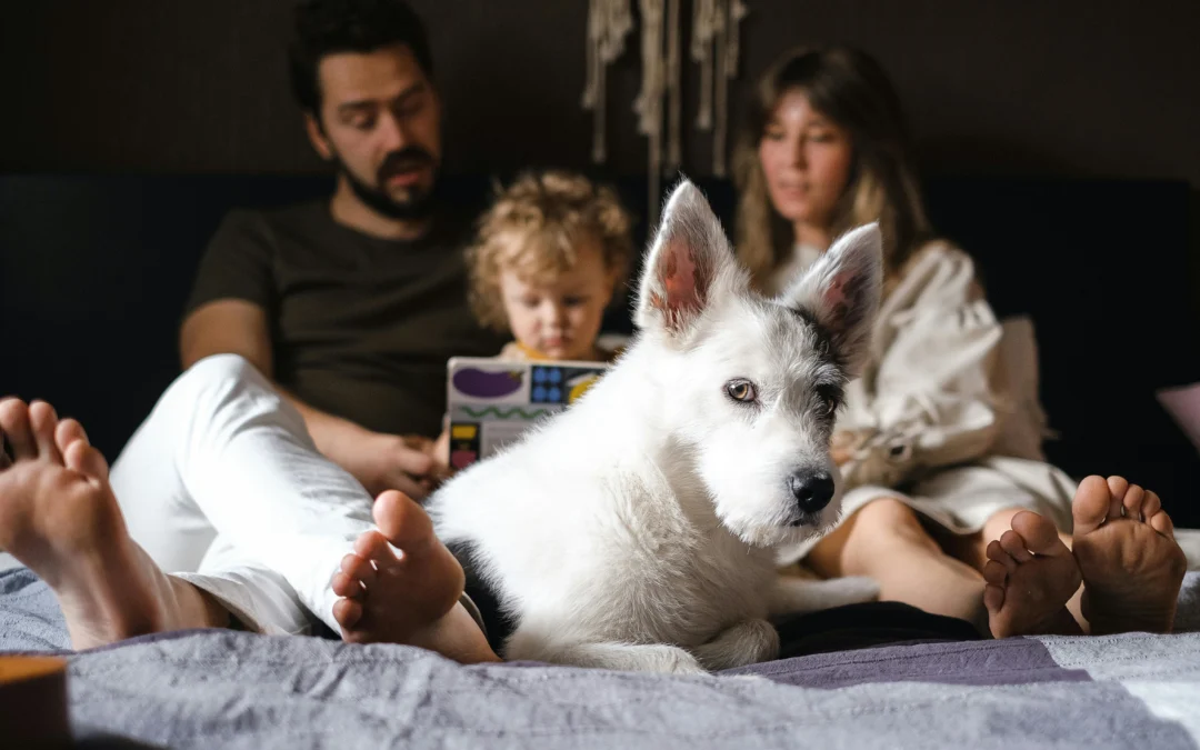 Ideal Family Dogs: The Right Breed for Your Home and Kids