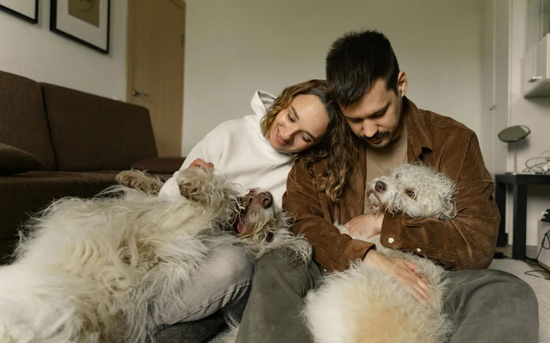 How to Maintain a House with Dogs: Complete Guide