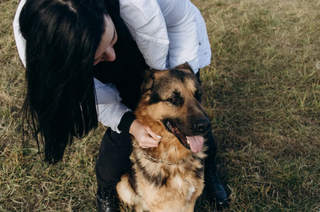 Picture of a person leaning over to pet a happy German Shepherd outdoors