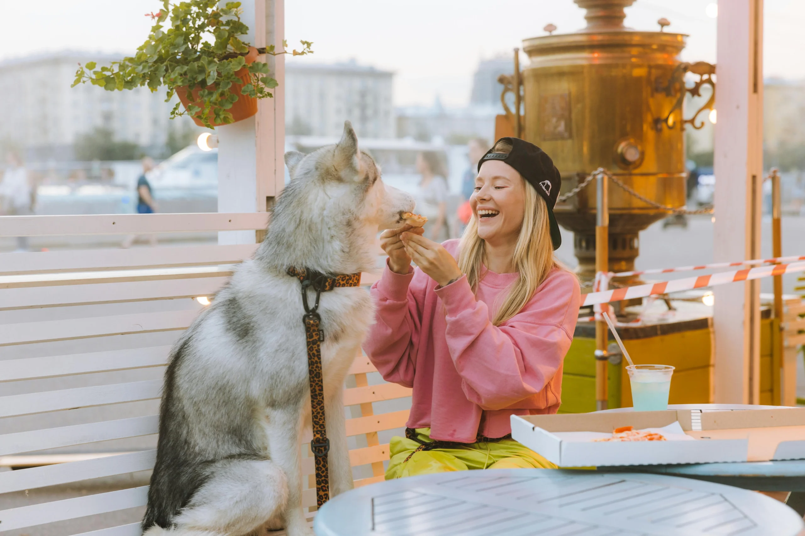 Is Cheese Good for Dogs? Everything You Need to Know