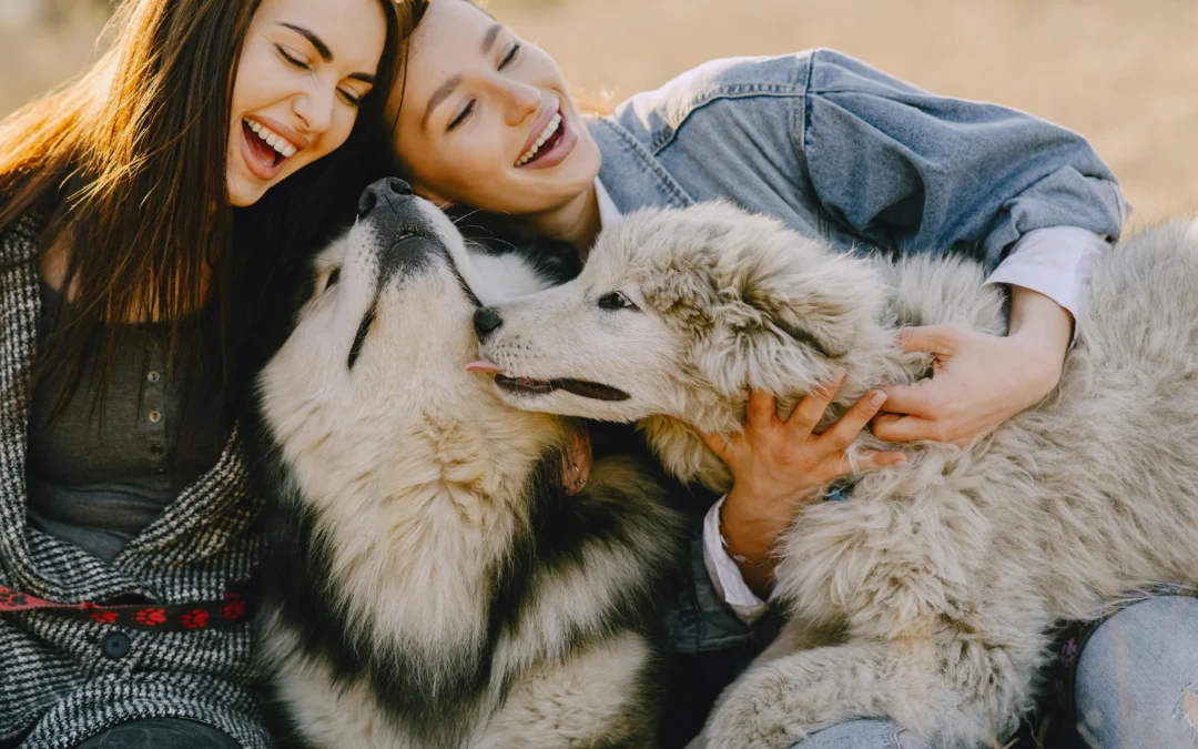 Why Bonding with Your Dog Matters More Than You Think