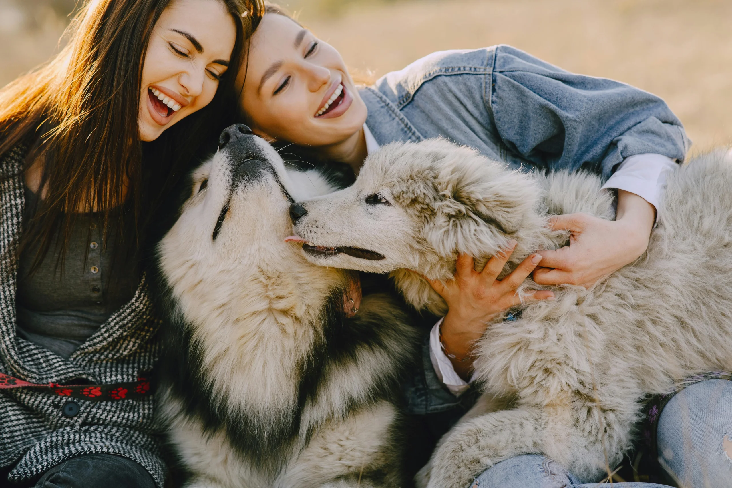 Why Bonding with Your Dog Matters More Than You Think