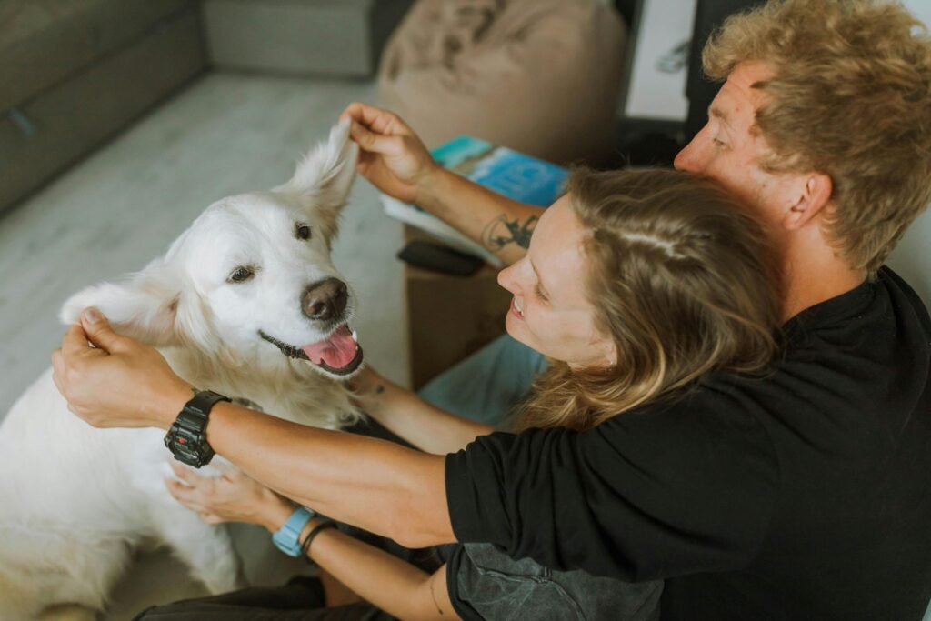 Picture of a man and woman petting a happy white dog indoors.
