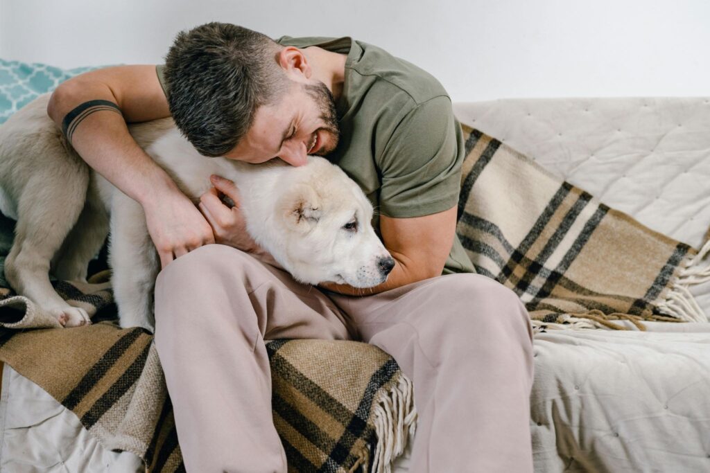 Picture of a man bonding with your dog by hugging a white pup on a sofa.