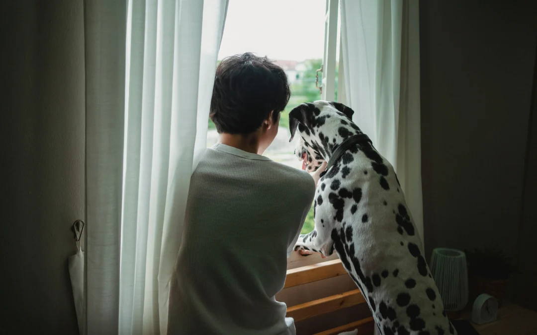 Picture of a person and dalmatian looking out a window