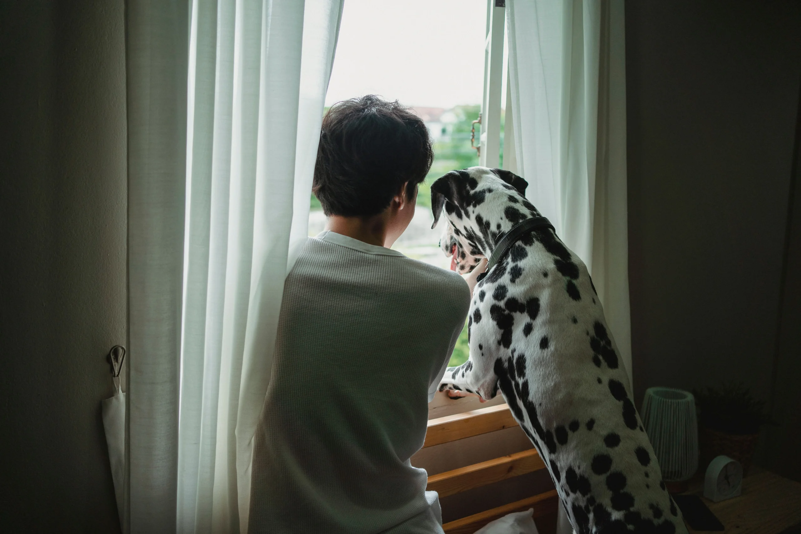 Dog Kennel Anxiety: Signs, Causes, and Relief