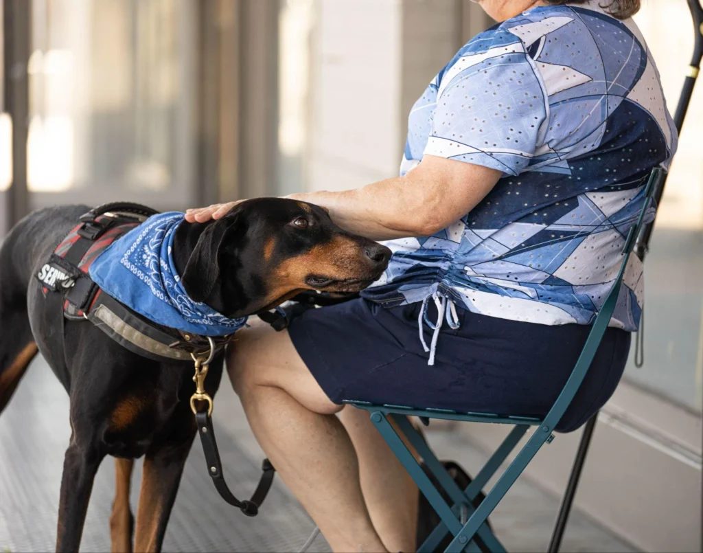 Picture of a dog being pet by a seated person