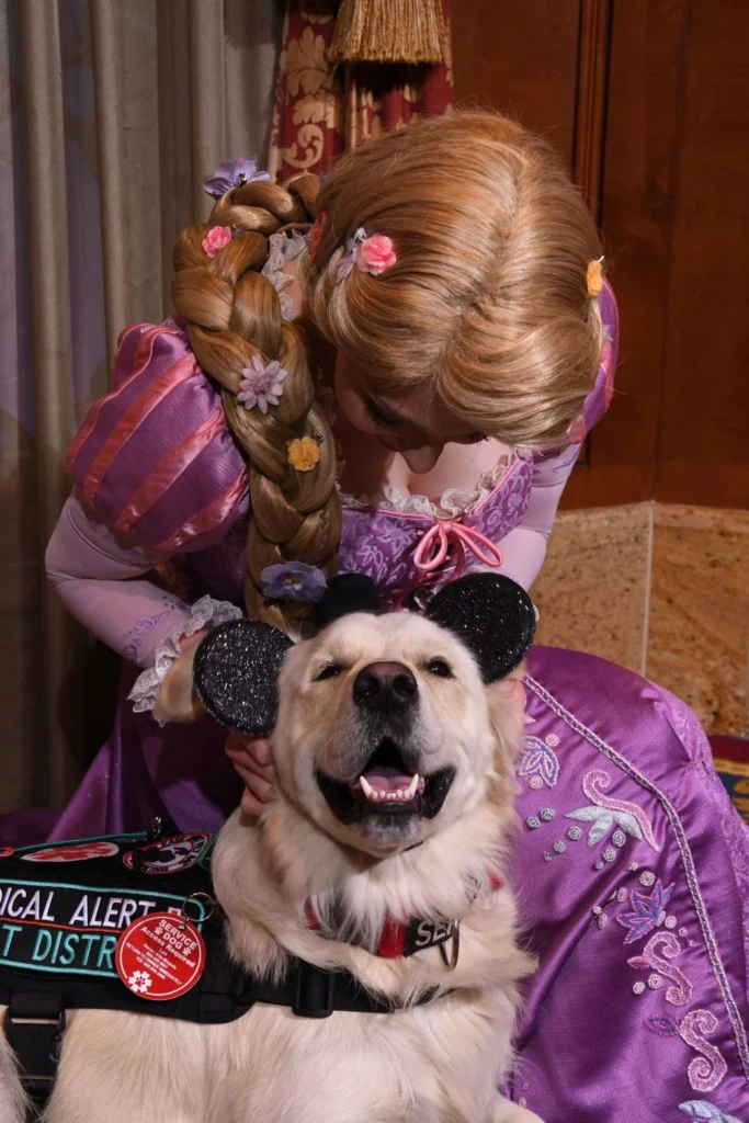 Picture of a golden retriever wearing mouse ears with Rapunzel
